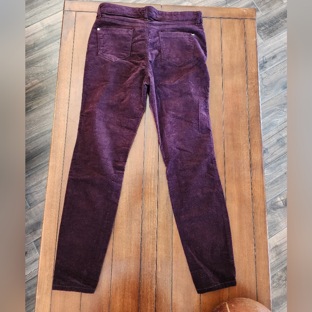 Velvet pants